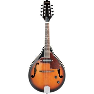 Ibanez-mandolin