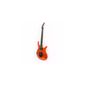 Guitarra-Parker-Pdf-70fr-orange