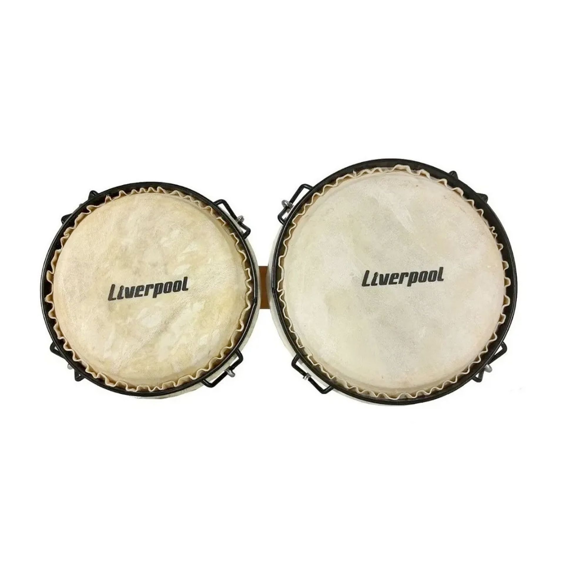 BONGO LIVERPOOL 6 X7 YWBD0708 BOLI X5Music